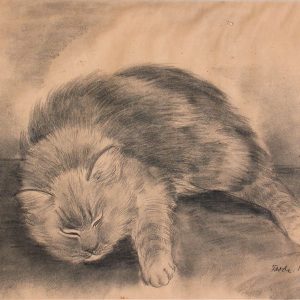 FRODE NELLSON DANN Fluffy Cat