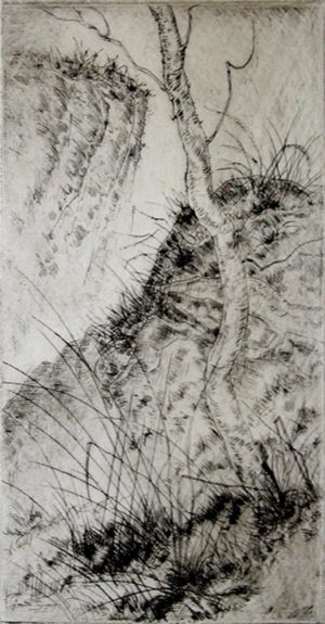 NICHOLAS P. BRIGANTE Waving Grasses